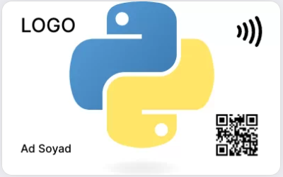 Python - Developer Seri